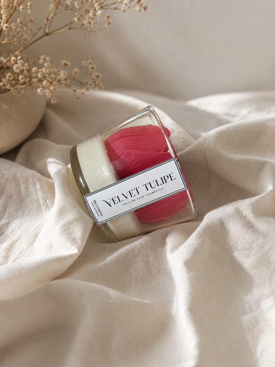 Velvet Tulipe